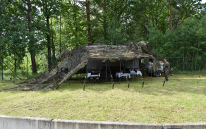 dsc_0166.jpg