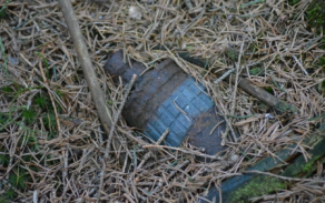 dsc_1757.jpg